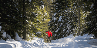 CROSS-COUNTRY SKIING AT MONT GRAND-FONDS