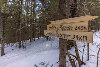 Le sentier du ruisseau