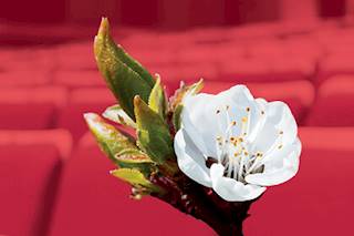 Le Domaine Forget, Créateurs de talents! 